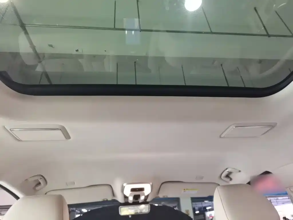 Hongqi HQ9 2023 2023 2.0T Smart Connect Flagship