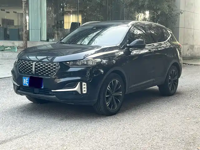 WEI PAI WEI BRAND VV6