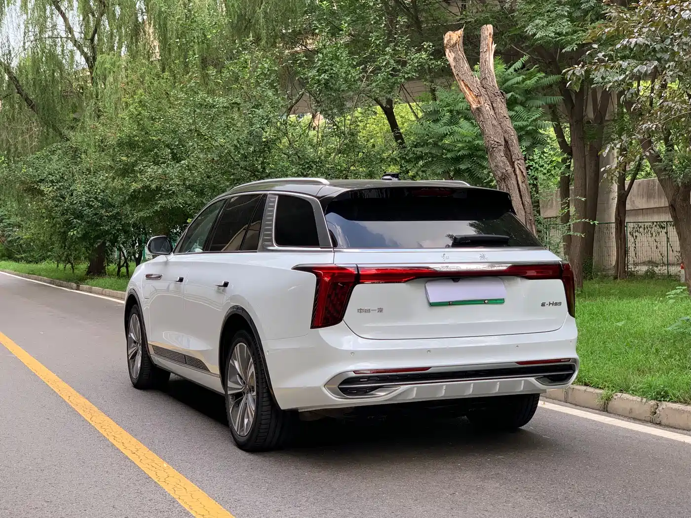 Hongqi E-HS9 2023 2022 690km Qi Xiang Edition (6-seater)