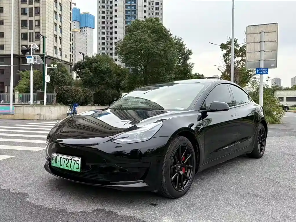 Tesla Model 3 2021 Standard Range Rear-Wheel Drive Upgrade