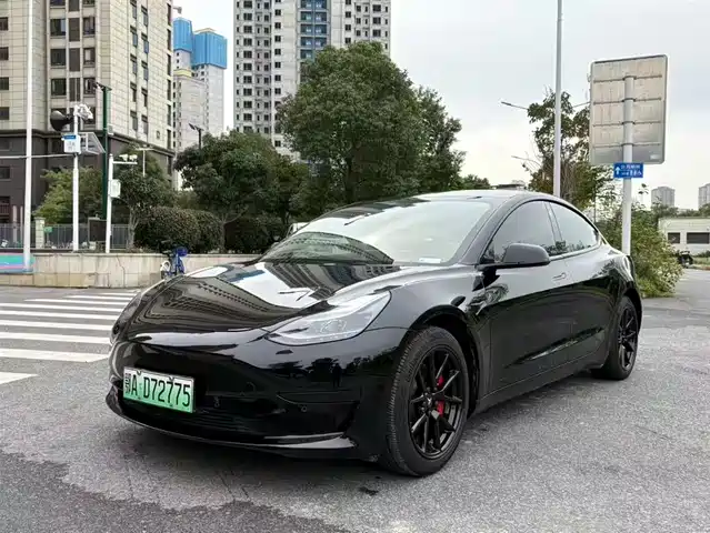 Tesla Model 3 2021 Standard Range Rear-Wheel Drive Upgrade