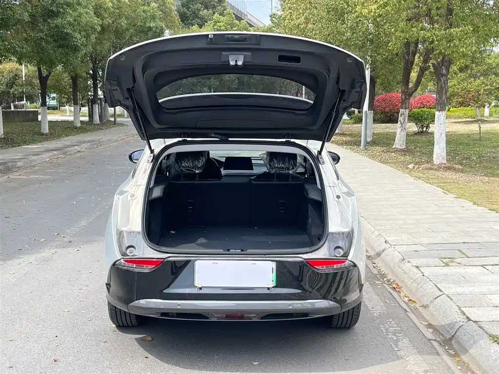 BUICK SLIGHTLY BLUE 6