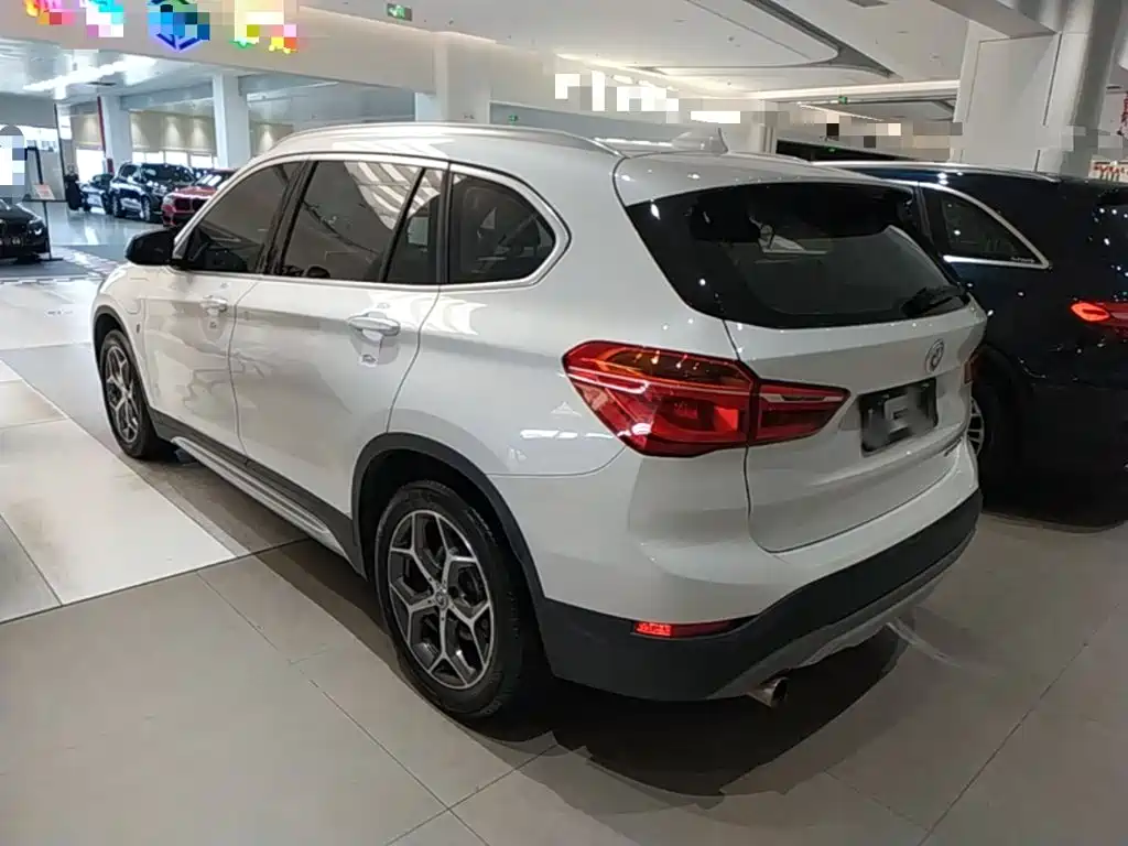 BMW X1 New Energy 2019 2018 xDrive25Le Luxury Model