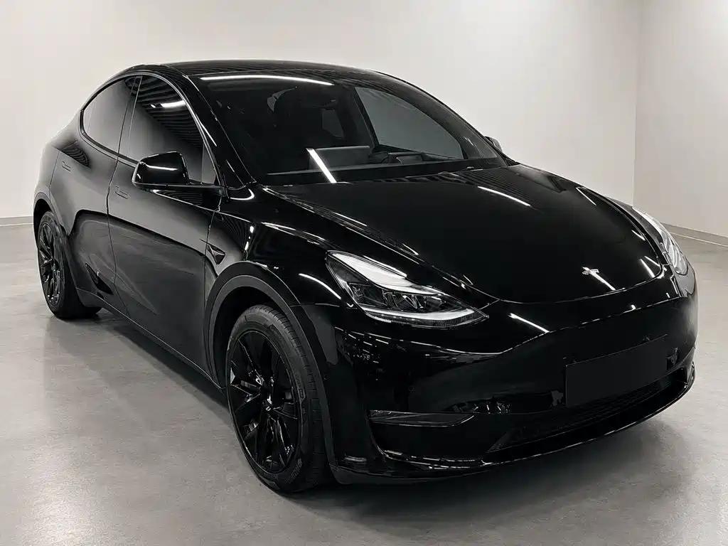 Tesla Model Y 2021 2021 Standard Range Rear-Wheel Drive