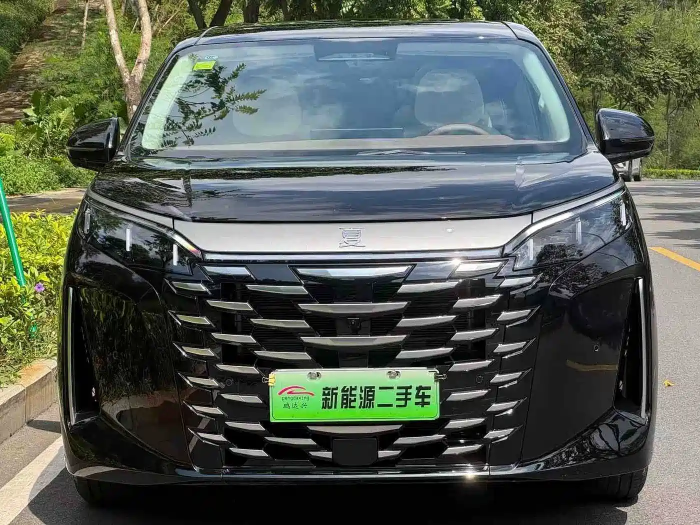 BYD Xia 2025 2025 DM-i 1.5T 180km Surpass Edition