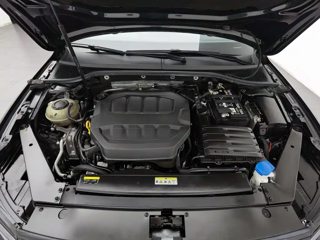 Volkswagen Magotan, миниатюра 6