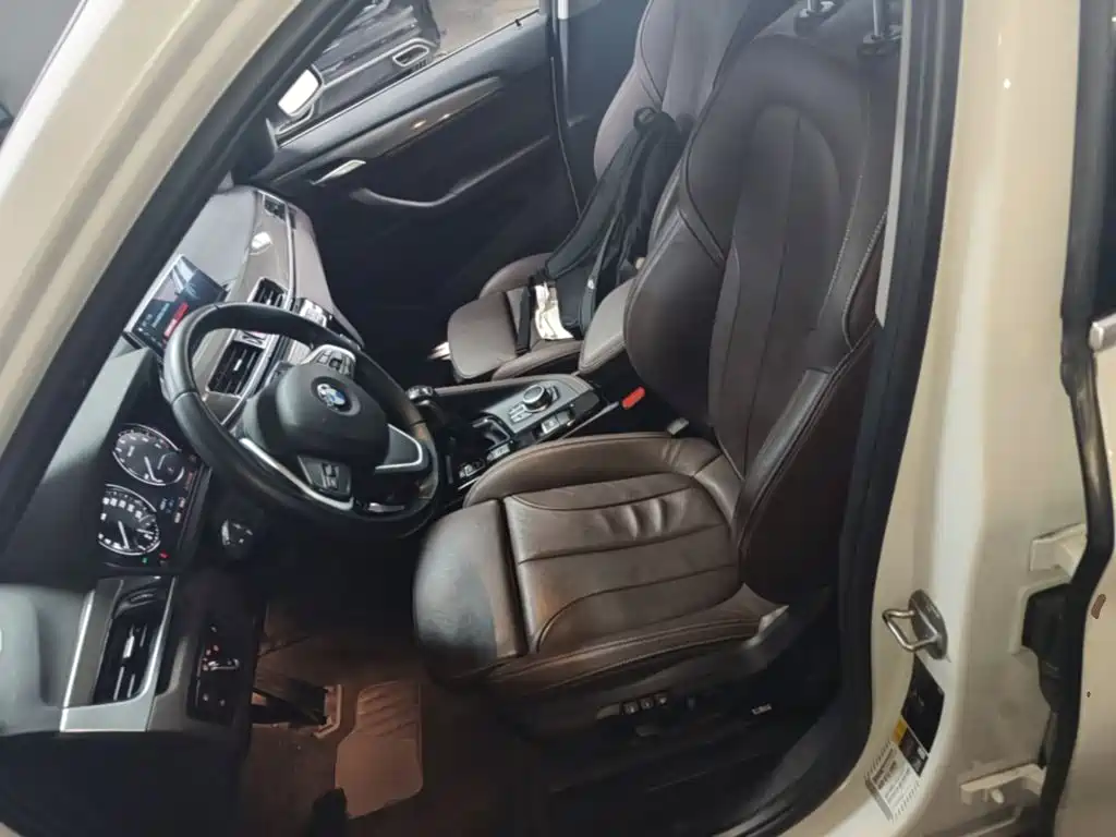 BMW X1 New Energy 2019 2019 xDrive25Le Range Upgrade Edition