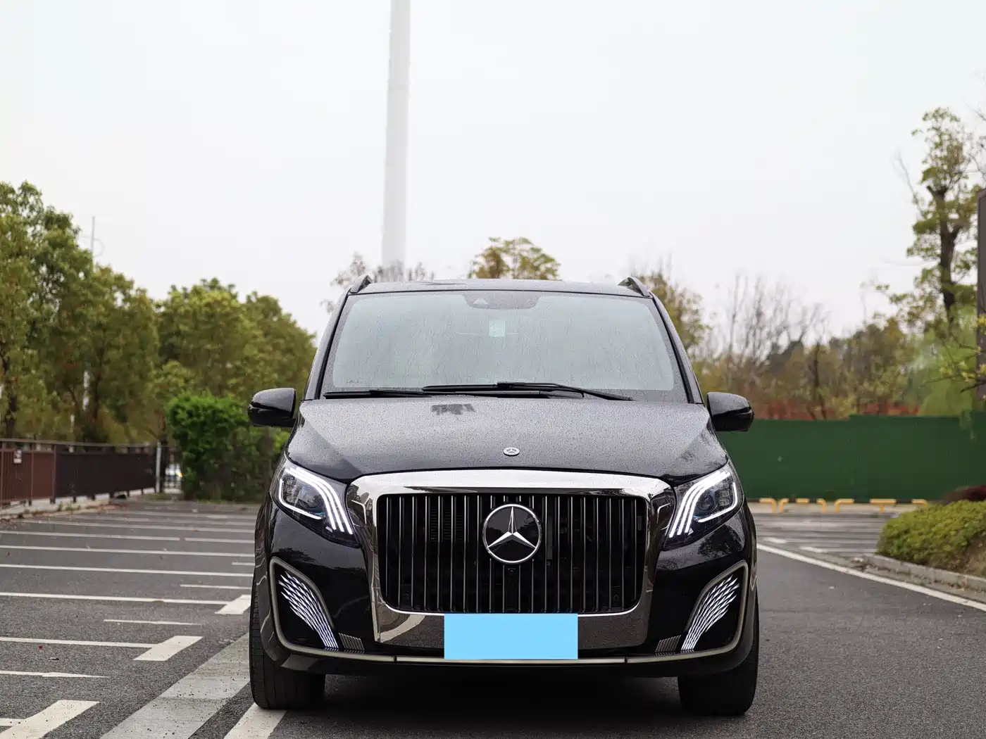 Mercedes-Benz V-Class 2018 V 260 Premium Edition China V фото 2