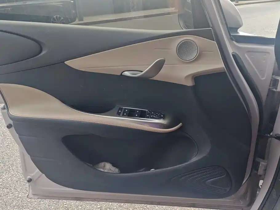 BYD Dolphin 2025 2025 Smart Drive Edition 420km Freedom Version