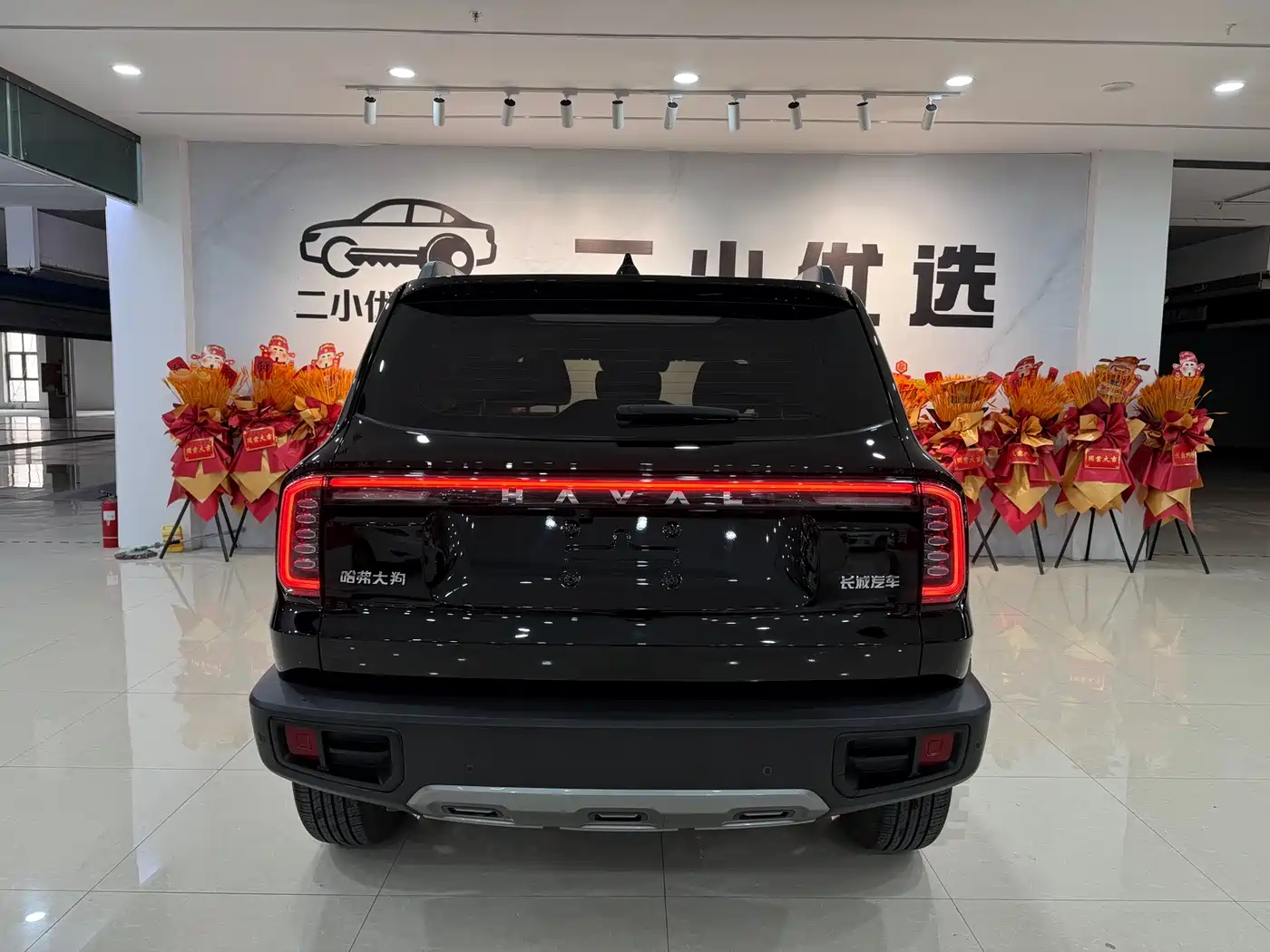 Haval Big Dog 2025 2024 1.5T DCT Border Collie Edition