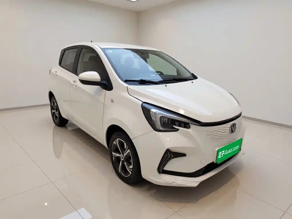 Changan Benben E-Star 2021 2020 Heartbeat Edition (NMC Battery)