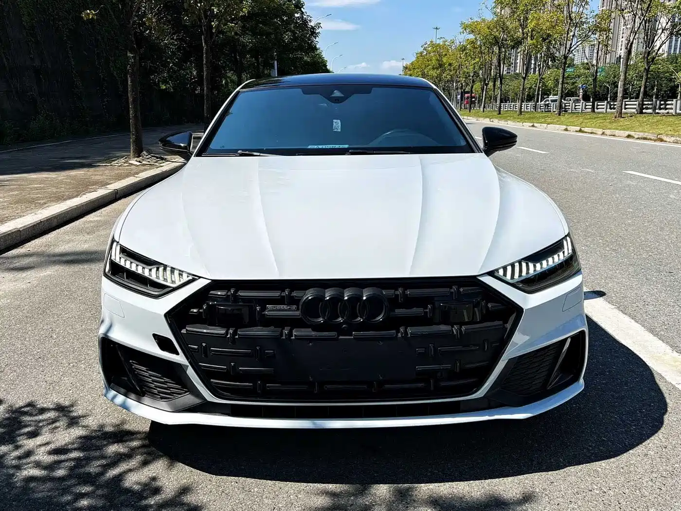 Audi A7L 2022 2022 55 TFSI quattro S-line Zhiyuan Crystal Package