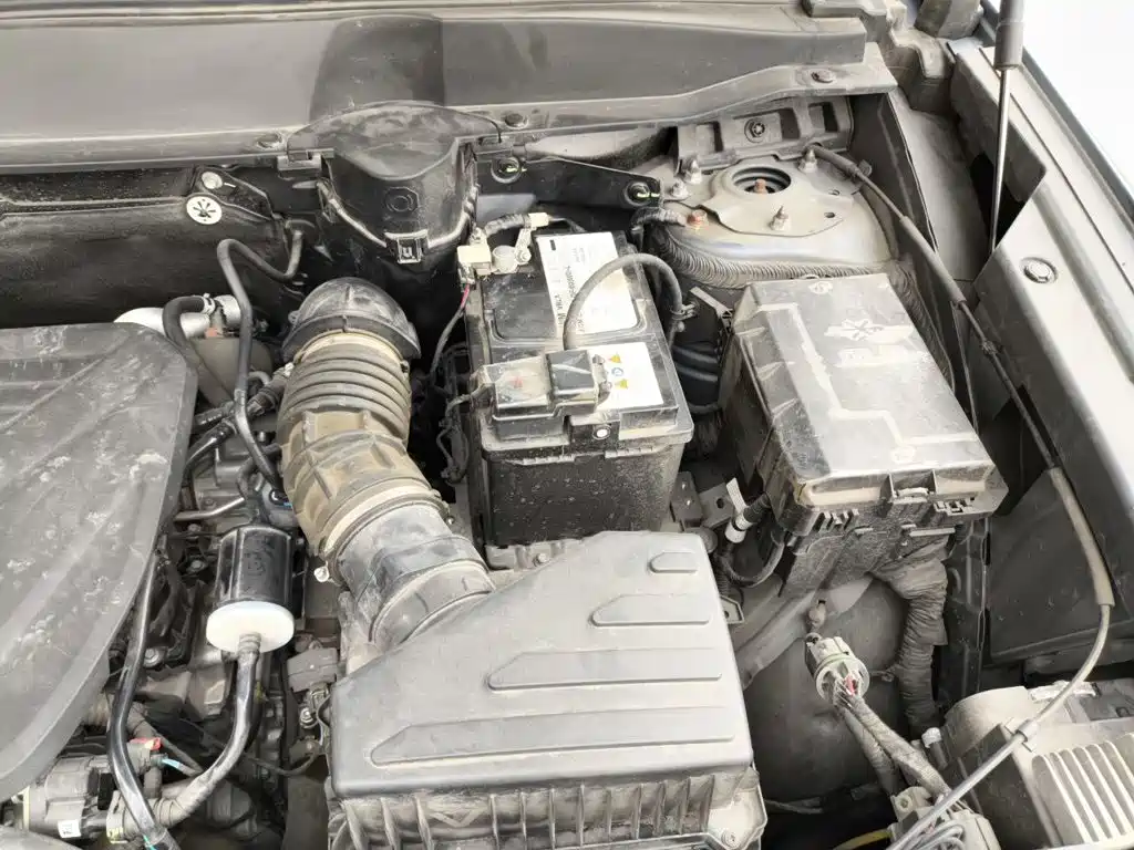 Photo 22 - Haval Big Dog