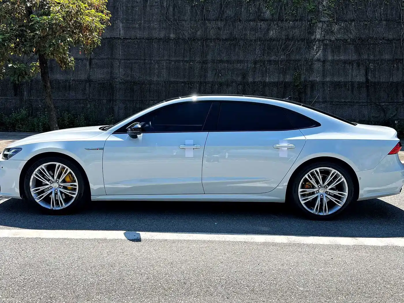 Audi A7L 2022 2022 55 TFSI quattro S-line Zhiyuan Crystal Package