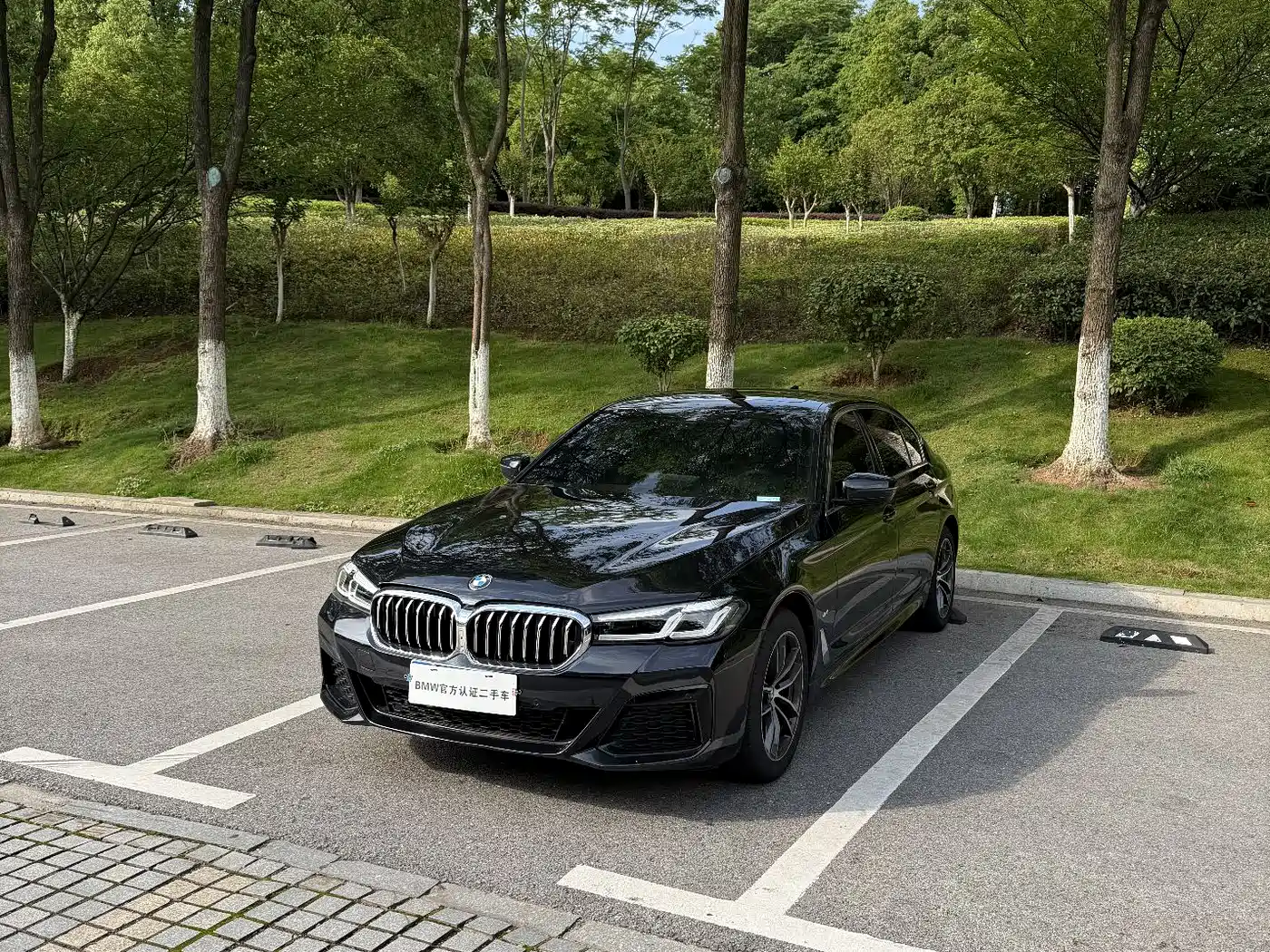BMW 5 Series 2022 525Li M Sport Package