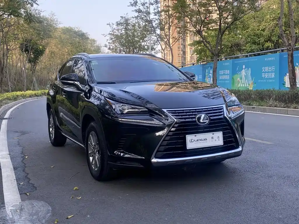 Lexus NX 2018 Model 200 FWD Fengxing Edition China V фото 3