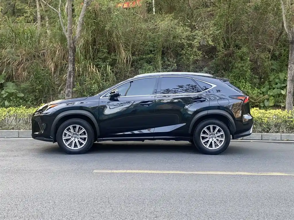 Lexus NX 2018 Model 200 FWD Fengxing Edition China V фото 14