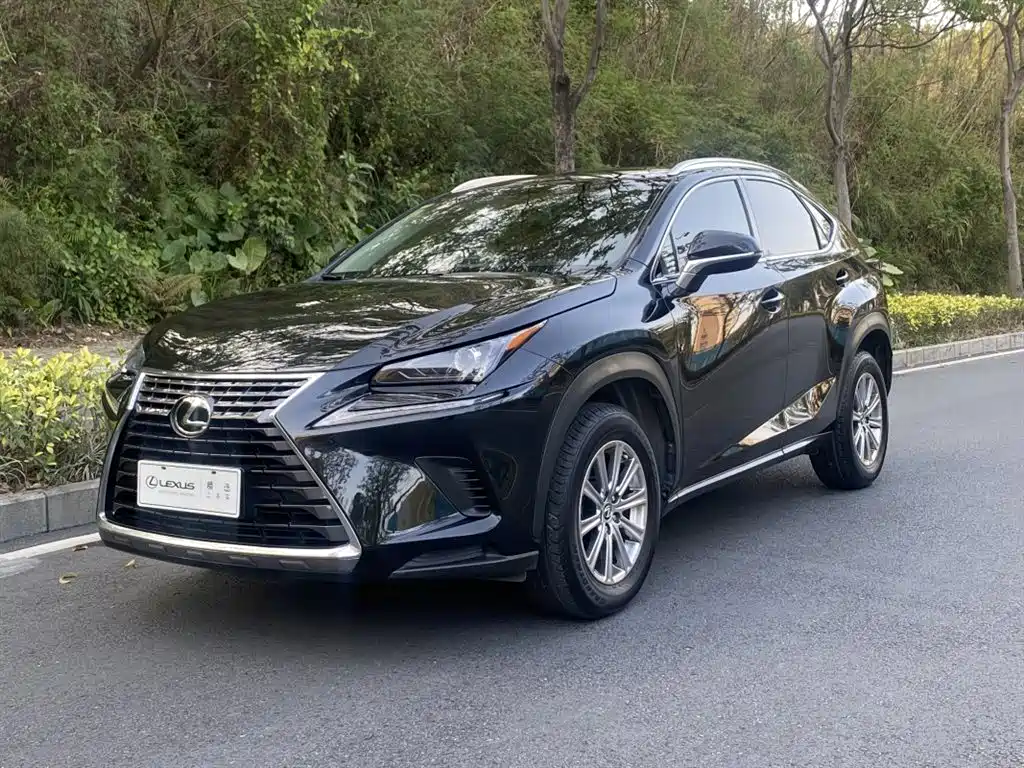 Lexus NX 2018 Model 200 FWD Fengxing Edition China V