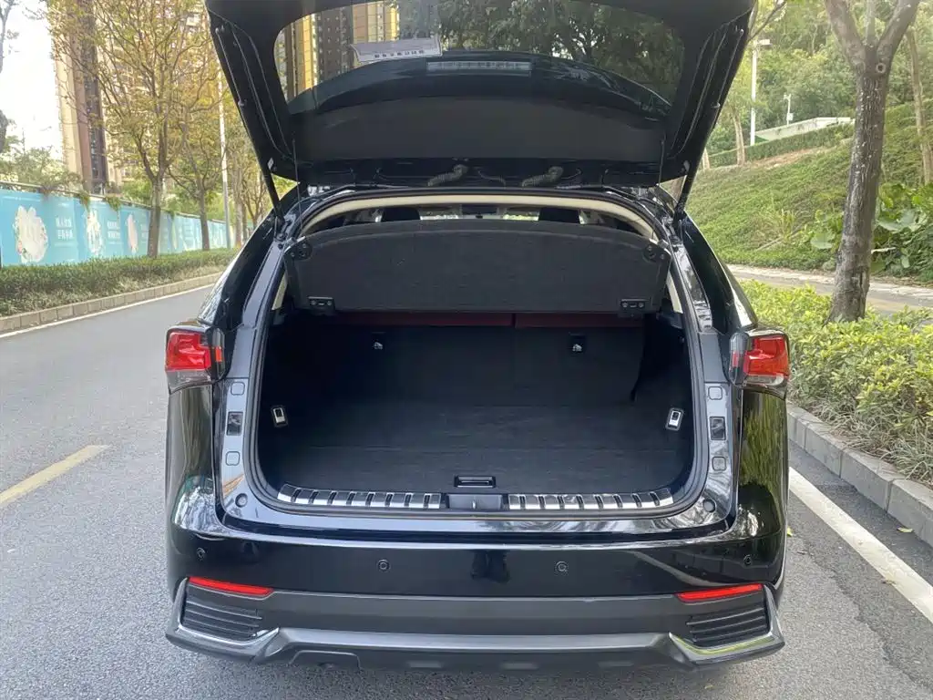 Lexus NX 2018 Model 200 FWD Fengxing Edition China V фото 7