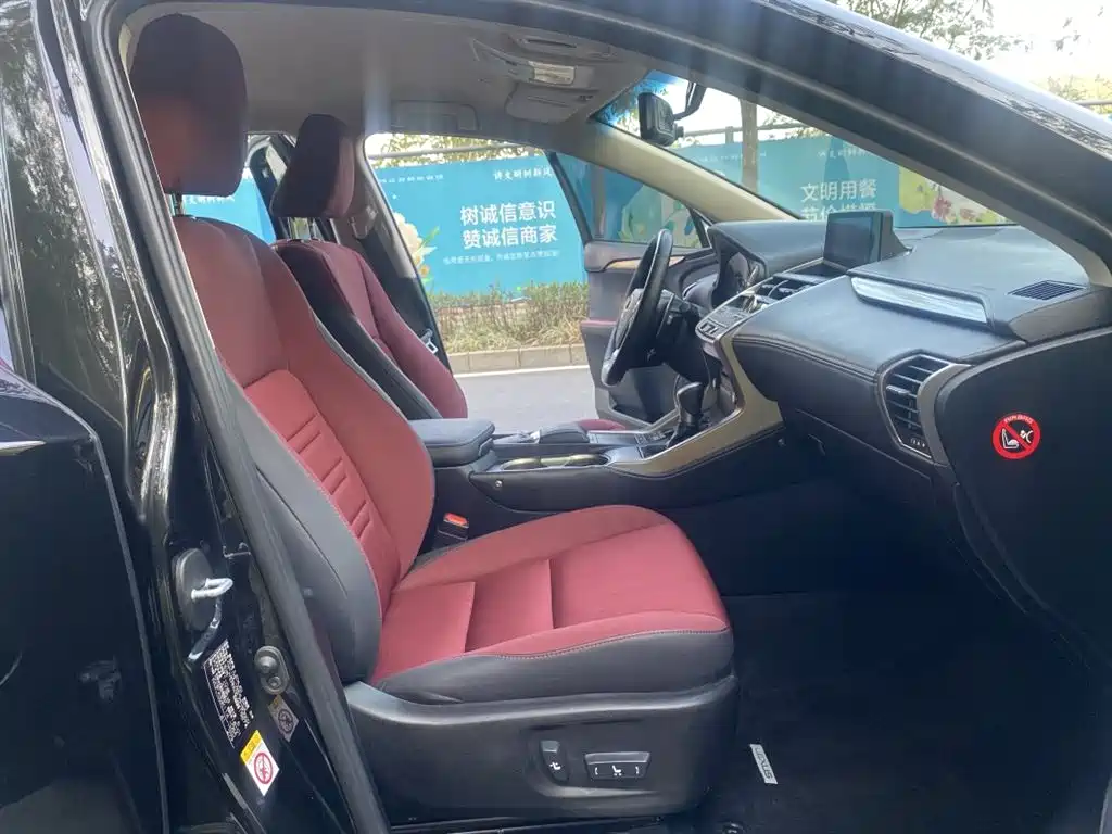Lexus NX 2018 Model 200 FWD Fengxing Edition China V фото 12
