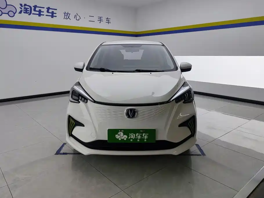 Changan Benben E-Star 2022 2022 Appreciation Edition Colorful LFP