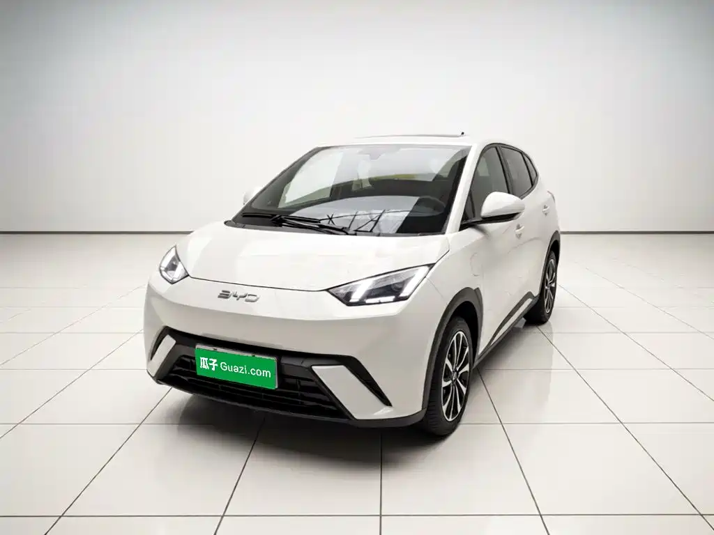 BYD Seagull 2024