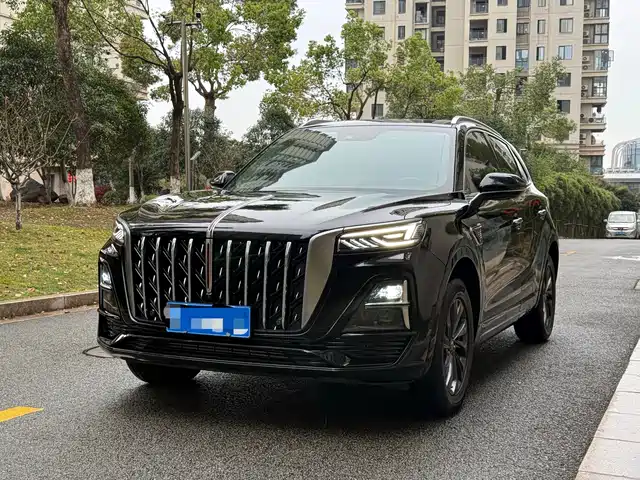  Hongqi Hongqi HS5 2025 2.0T 2WD Qixiang Pro