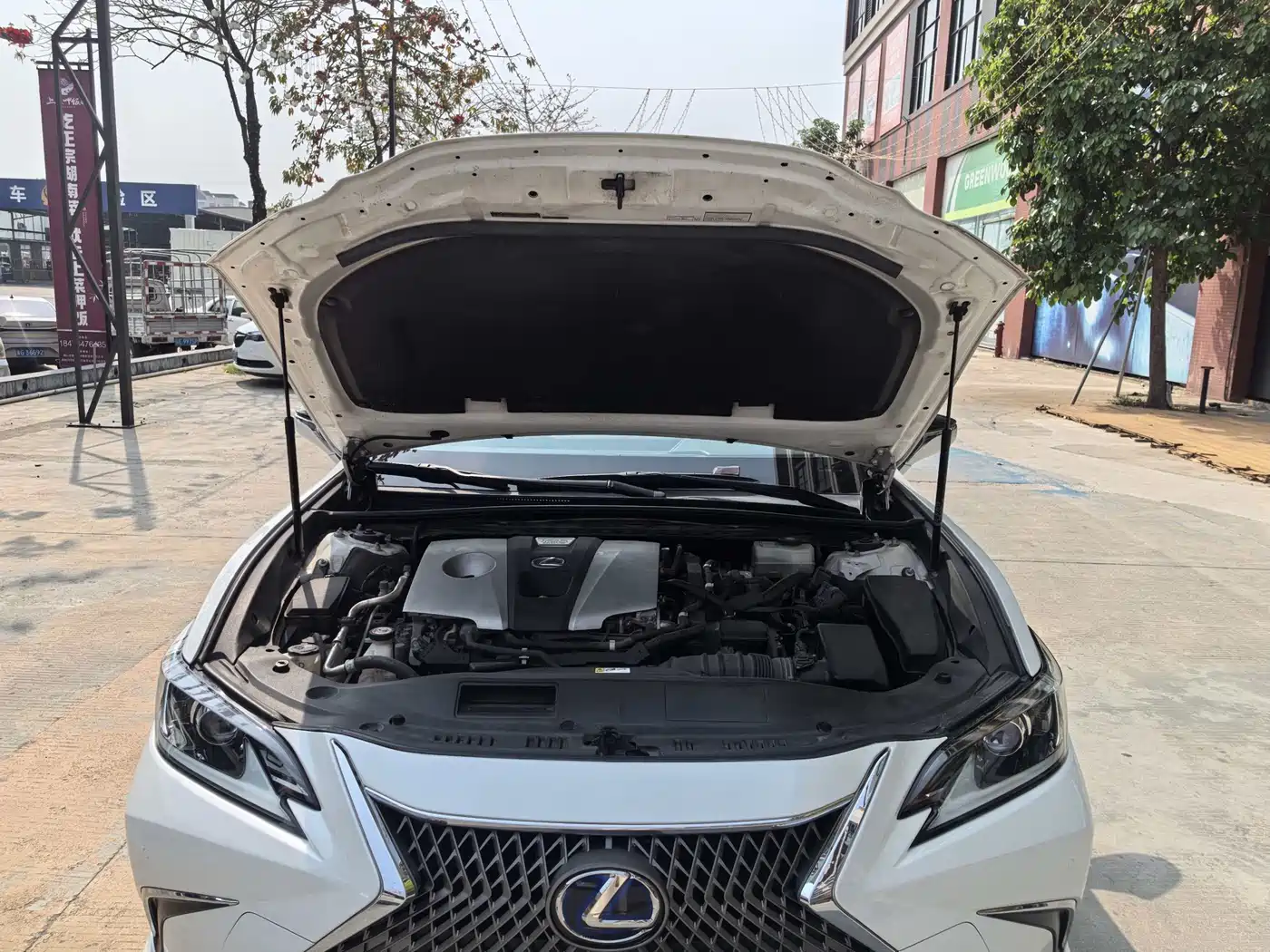 Lexus ES 2020 Model 300h Excellence Edition фото 20