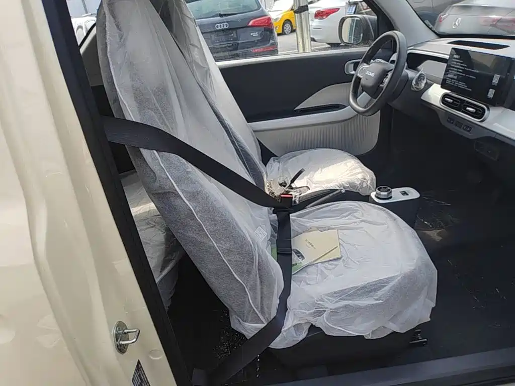 Geely Galaxy Panda 2026 2025 Panda mini 210km Vitality Bear