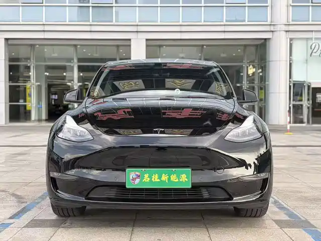 Tesla Model Y 2021 Standard Range Rear-Wheel Drive — фото 2
