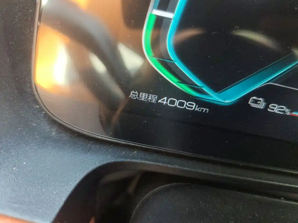 BYD e2 2022 2021 Luxury Edition