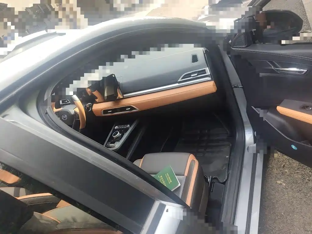 BYD e2 2022 2021 Luxury Edition