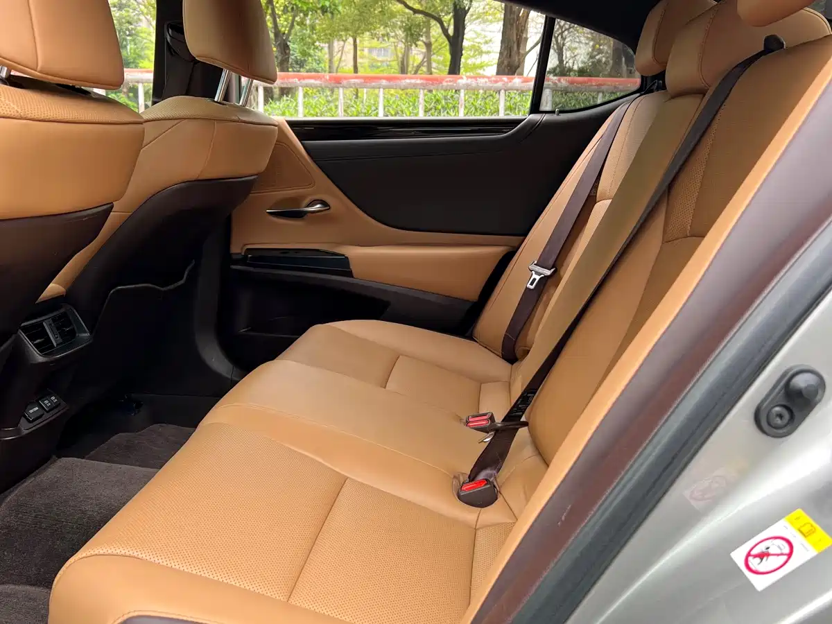 Lexus ES 2020 200 Luxury фото 9