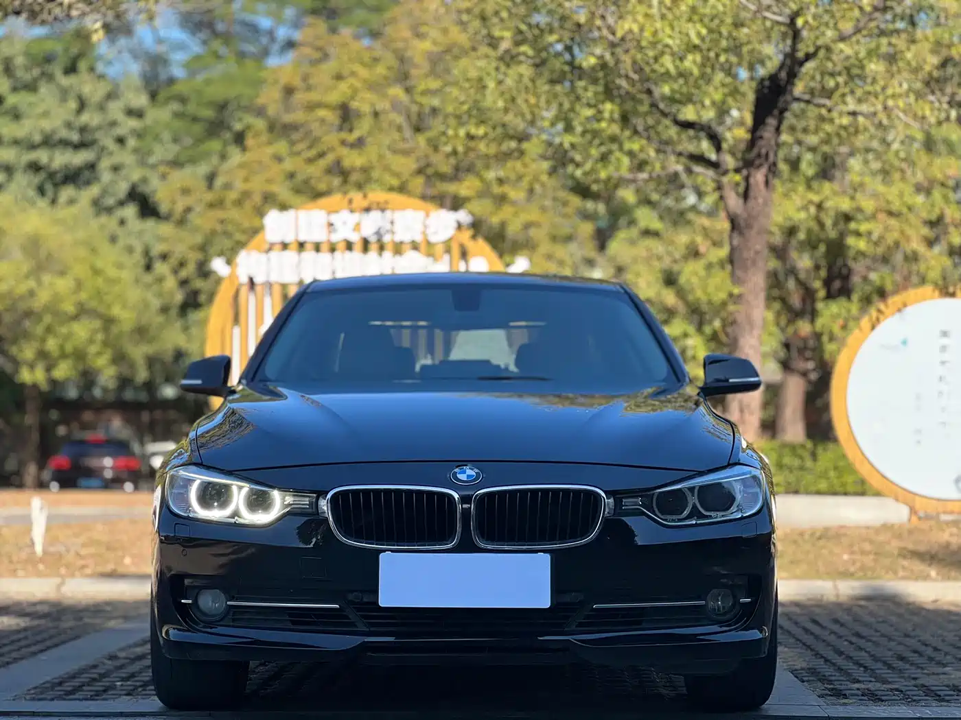 BMW 3 Series 2013 320Li Fashion Model