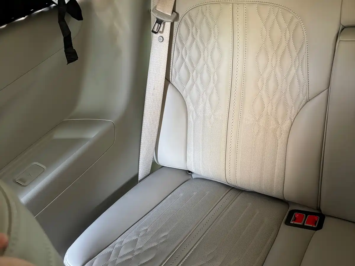 Buick GL8 2023 ES Landmaster Comfort фото 14
