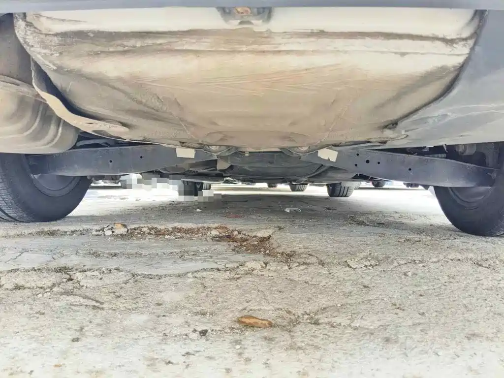 Photo 11 - Volkswagen Sagitar