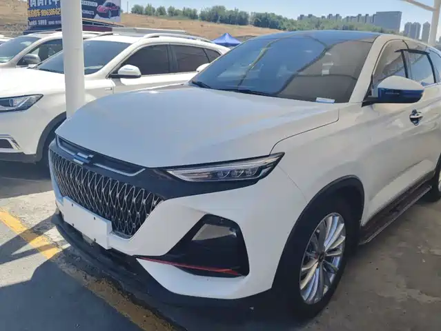 Changan Oshan Changan Oshan X7 PLUS 2022 1.5T Blue Whale Edition Auto Premium