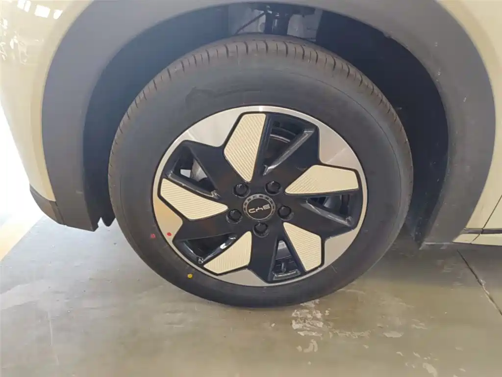 BYD Dolphin 2026 2025 420km Freedom Edition