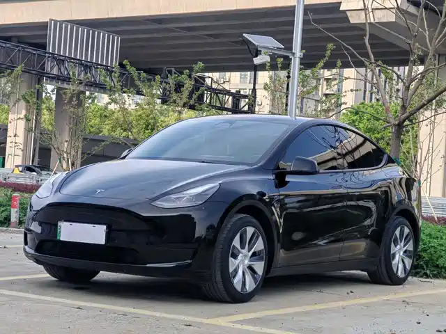 Tesla Model Y Задний привод
