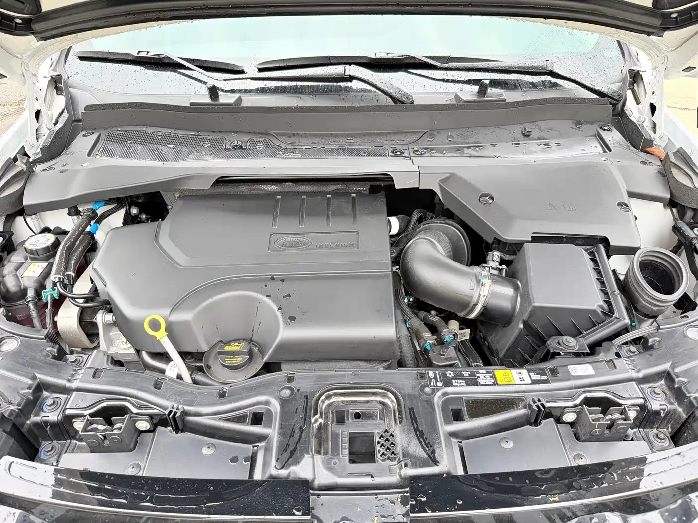 Land Rover Discovery Sport 2025 249PS Performance Tech Edition фото 11