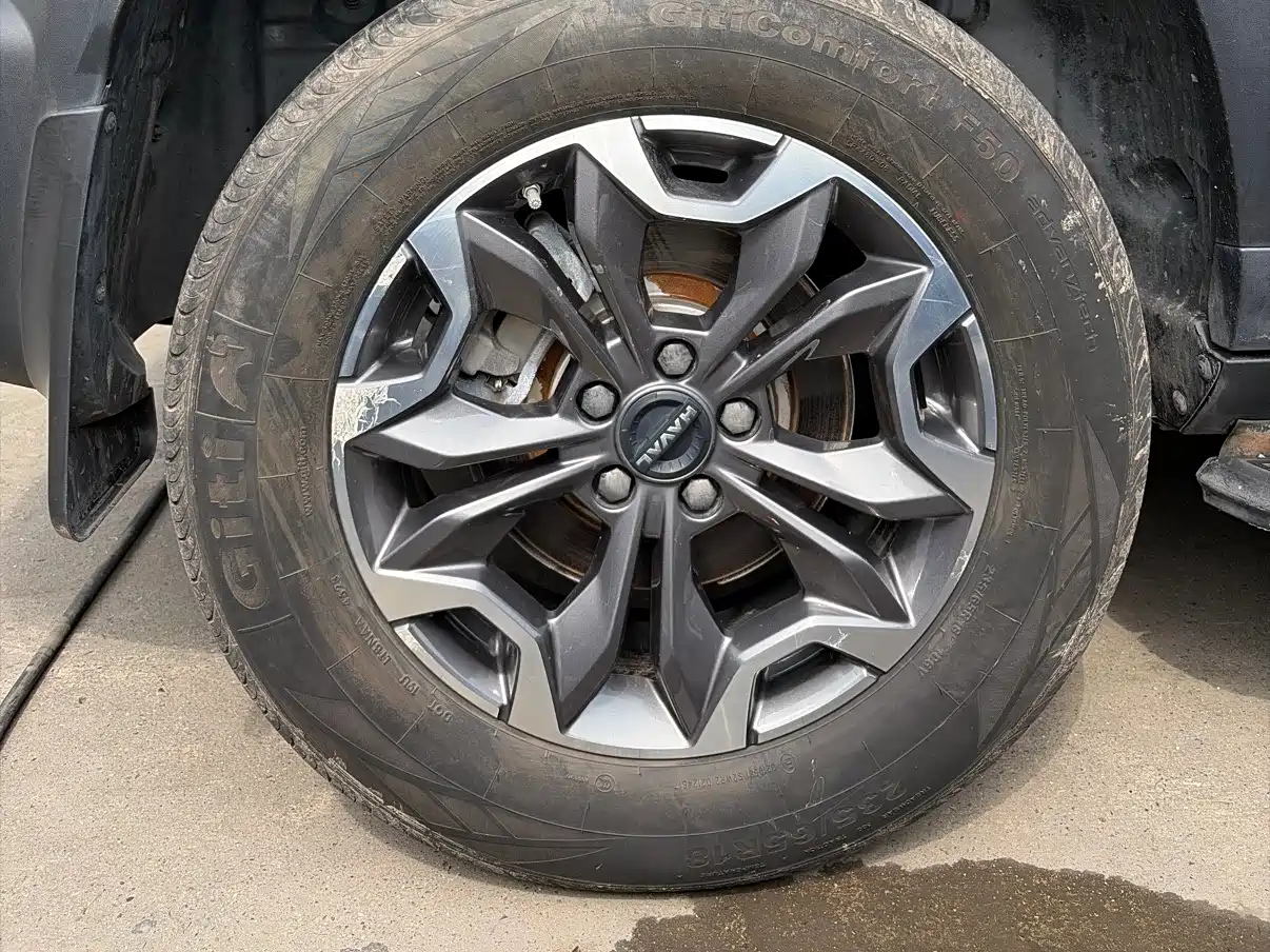 Haval Big Dog 2022 2.0T DCT AWD Chinese Pastoral Dog Edition фото 12
