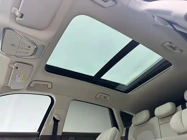 Voyah Auto VOYAH FREE 2021 AWD Standard Range Extender Exclusive Luxury Package фото 14