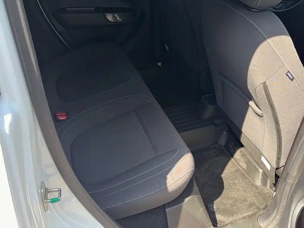 Ora White Cat 2021 2022 Upgraded 305km Luxury (NMC)