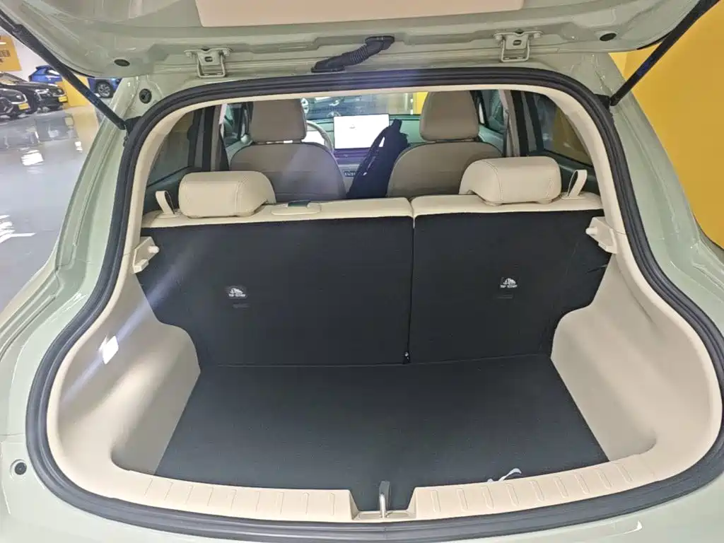 Ora Good Cat 2026 2025 Model 430km Luxury