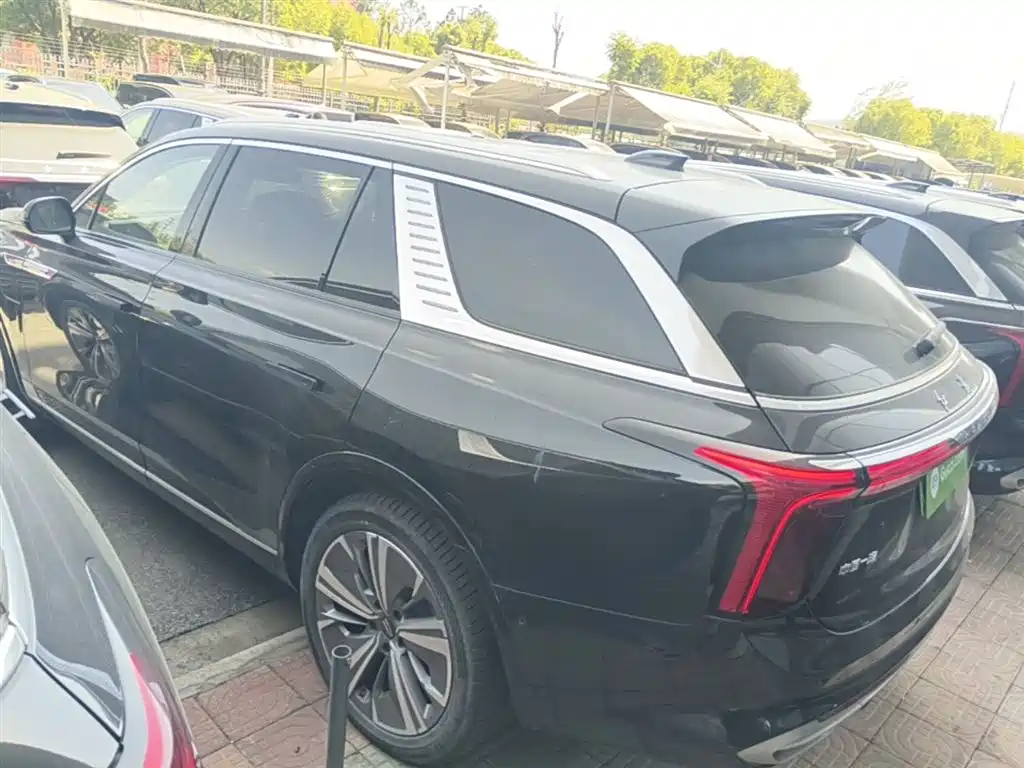 Hongqi E-HS9 2021 460km Flagship Comfort 6-seater фото 5