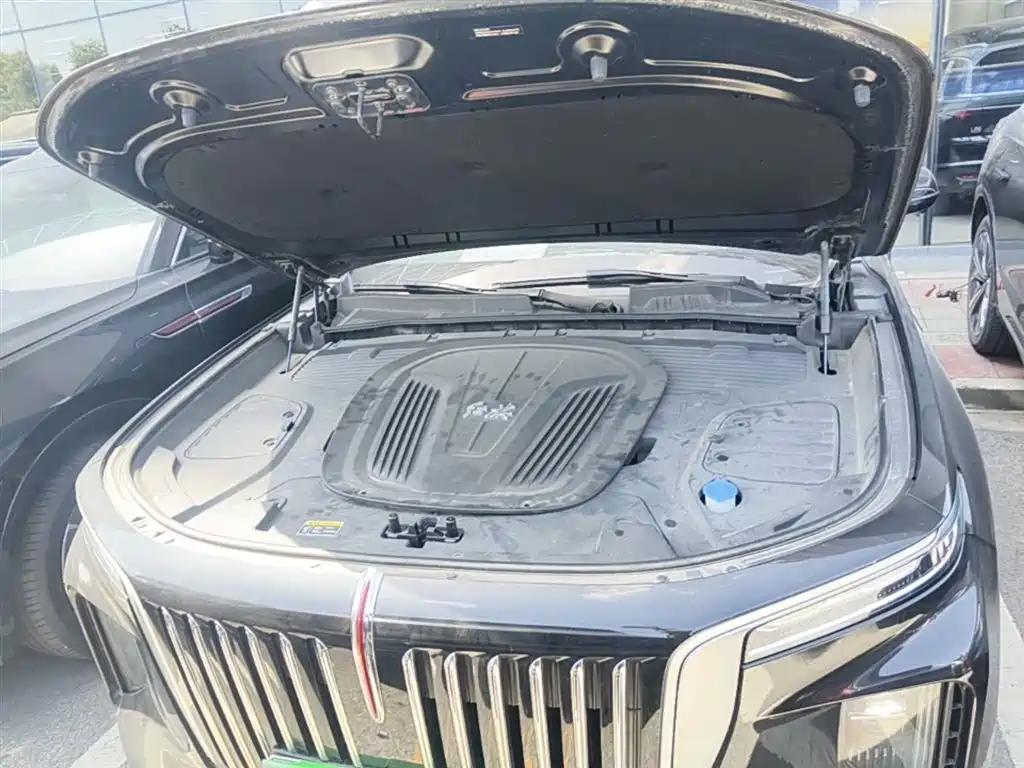 Hongqi E-HS9 2021 460km Flagship Comfort 6-seater фото 20