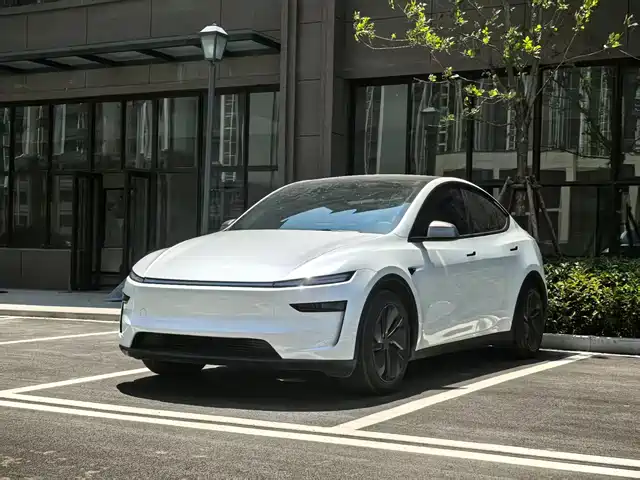  Tesla Model Y 2025 Rear-Wheel Drive