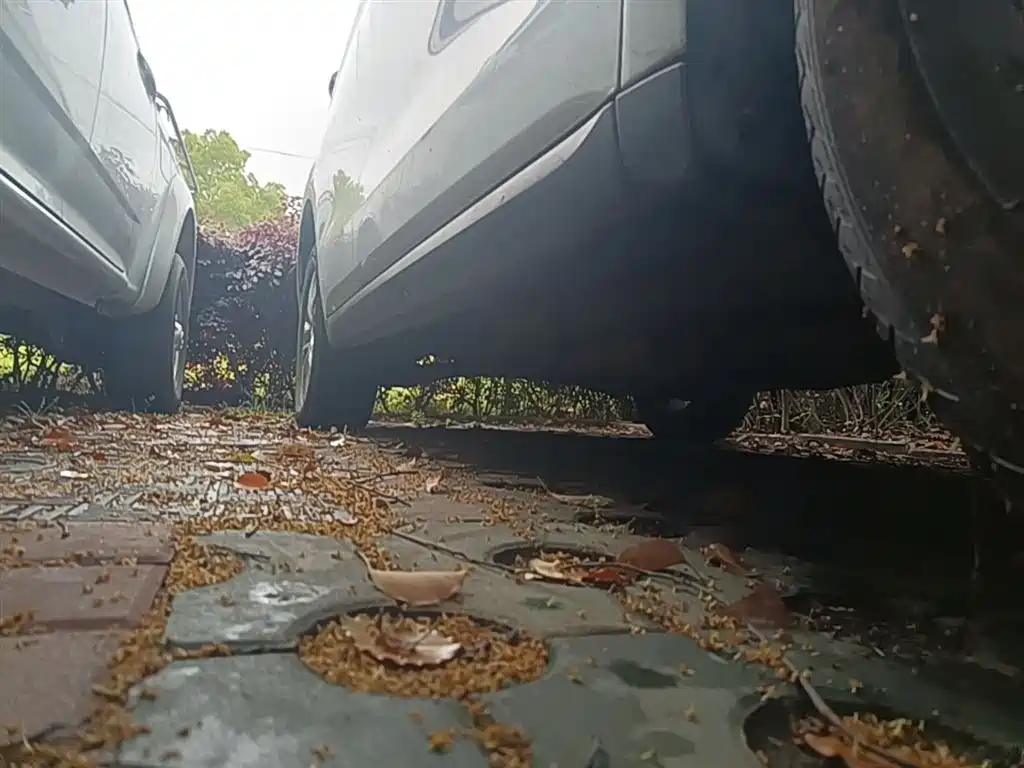 Haval M6 2023 PLUS 1.5T DCT Elite Smart Connect фото 21