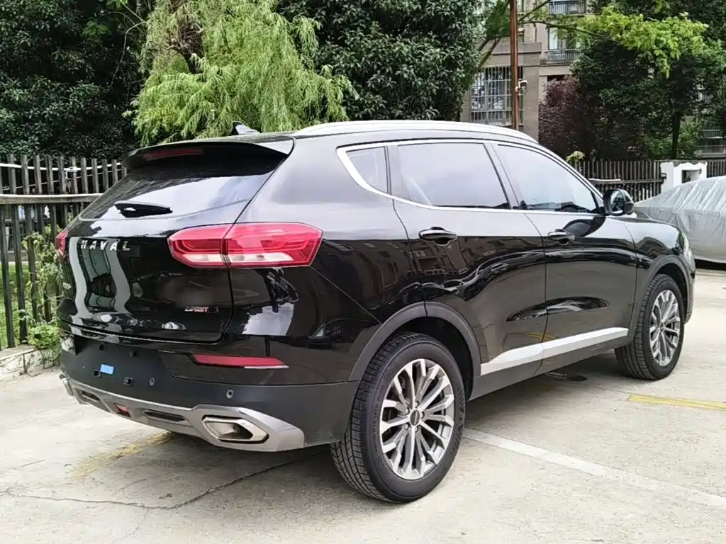 صورة 7 - Haval H6