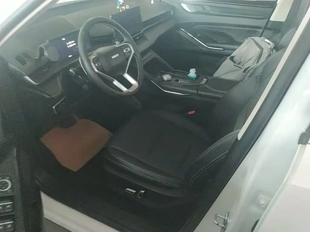 Haval H6 2022 3rd Gen 1.5T Auto 2WD Pro фото 15